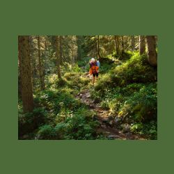 2012-08-09_01Fischunkel-Alm_Wasseralm (416).JPG